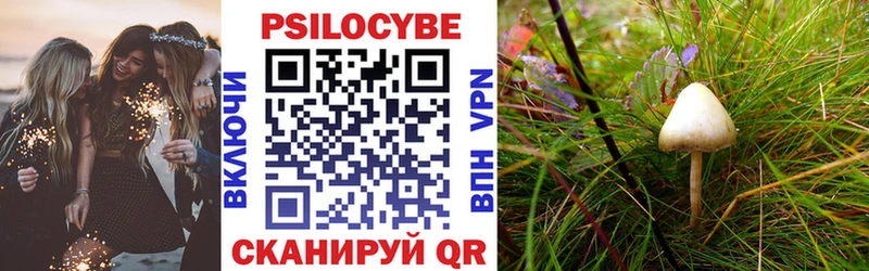 купить наркотик  Галич  Галлюциногенные грибы Magic Shrooms 