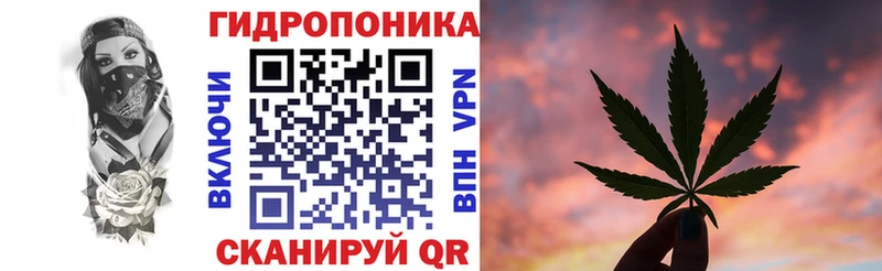 Конопля MAZAR Галич